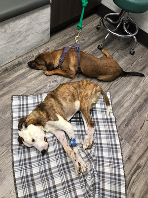 1672779651300.png 1672779651300.png