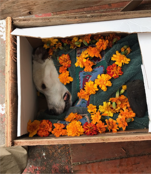 1672779814647.png 1672779814647.png