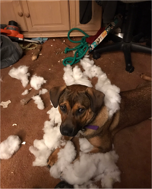 1672781458143.png 1672781458143.png