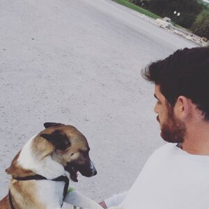 Daniel Ben Harosh 17493494.jpg