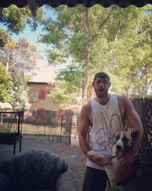 Daniel Ben Harosh 37895381.jpg