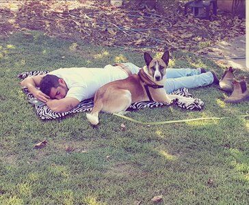 Daniel Ben Harosh 43698083.jpg