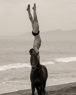 Julian Ardley 29715176.jpg