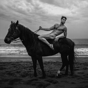 Julian Ardley 7991181640.jpg