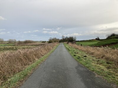 D98B0F82-4984-4E0D-8E91-74DA0AA607E3.jpeg D98B0F82-4984-4E0D-8E91-74DA0AA607E3.jpeg