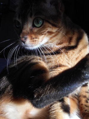 DSCN9813 brighter 2.jpg