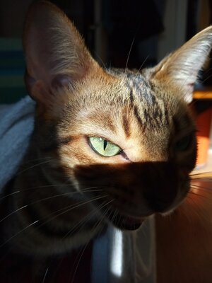 IMG_20221107_095335 (1).jpg