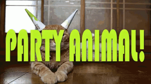 party-animal.gif