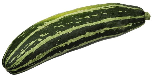CSA-Striped-Zucchini.jpg