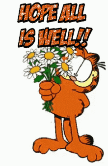 hope-all-is-well-garfield.gif