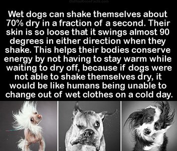 23012014.png 23012014.png