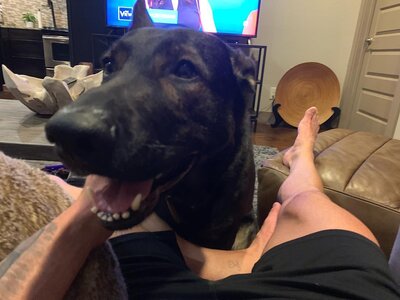 Greg Browne and Max 56965638.jpg