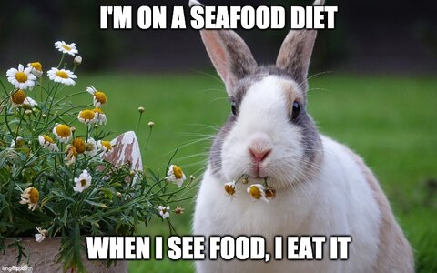 funny-rabbit-memes-seafood-diet.jpg