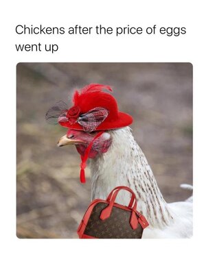 eggs.jpg