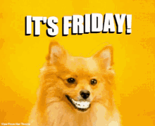 vfht-tgif.gif