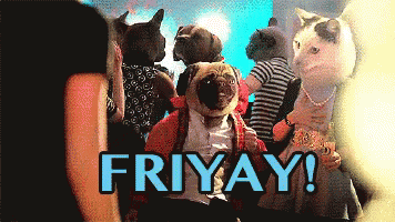friyay-friday-1.gif