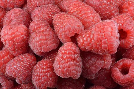 Raspberries_(Rubus_idaeus).jpg