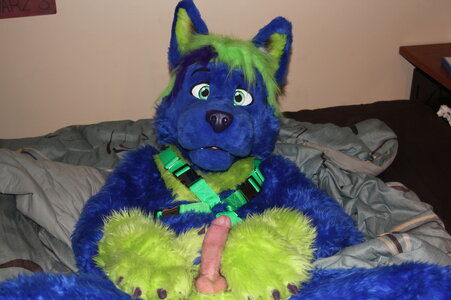 am FURRY-COSTUME.jpg