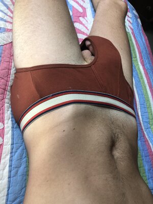 looking up shorts 5.jpg