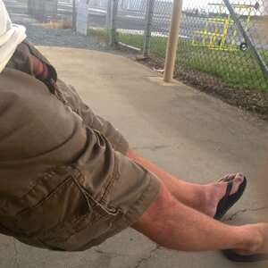 looking up shorts 6.jpeg