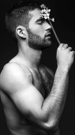 Bar Twito 17267663.jpg