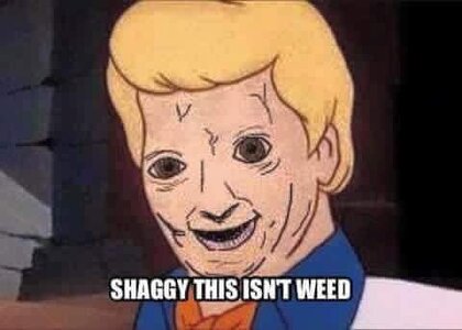funny shaggy this isn't weed.jpg