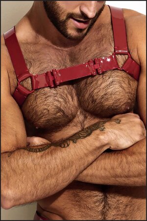 Cherry-Red-Leather-Chest-Harness-front-arms-..jpg