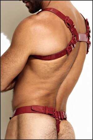 Cherry-Red-Leather-thong-harness-back-side-full..jpg