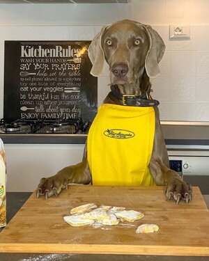 Cesare 144163863.jpg