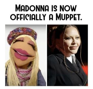 madonna.jpg