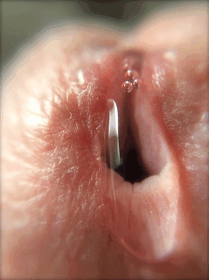 mp_potd-17jan2019-precum-closeup (1).gif