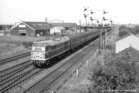 DFAAB251-9FFF-482A-B010-67C51C882A6B.jpeg DFAAB251-9FFF-482A-B010-67C51C882A6B.jpeg