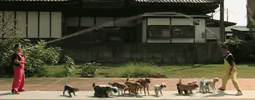 230214-11.gif