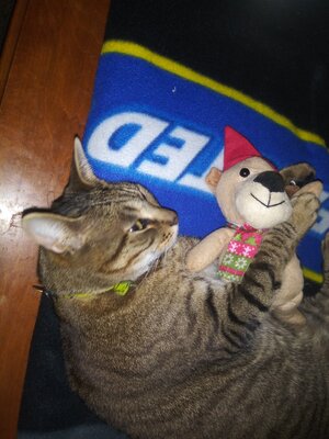 Squeak with her Doggie.jpg