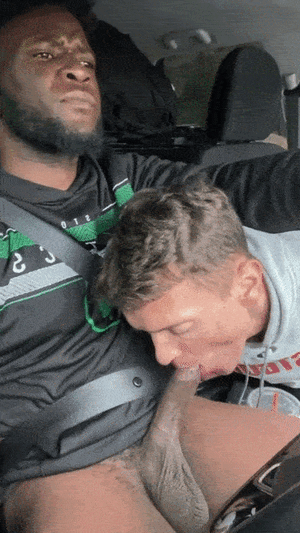 ezgif.com-optimize.gif ezgif.com-optimize.gif