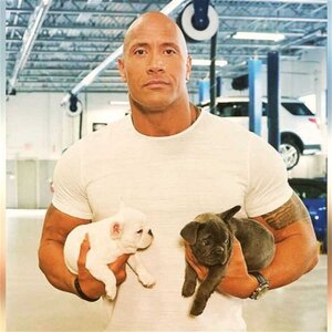 the-rock-dwayne-johnson-puppies-1.jpg