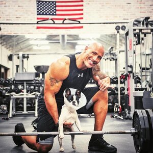 dwayne-the-rock-johnson-pets.jpg