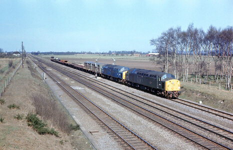 67ABA6DD-4183-4C0E-B006-F11286202925.jpeg 67ABA6DD-4183-4C0E-B006-F11286202925.jpeg