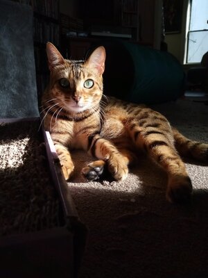 IMG_20230109_131042 copy.jpg