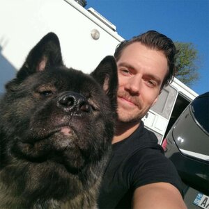 henry-cavill-dog-2000-1fbaa27206cf44f6be55012d9d6e2fbd.jpg