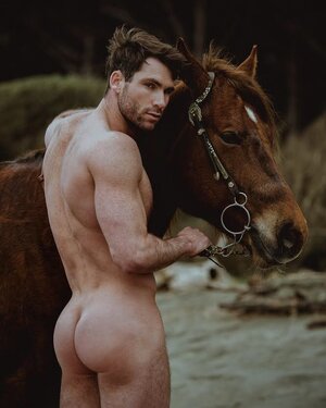 Julian Ardley 29716550.jpg