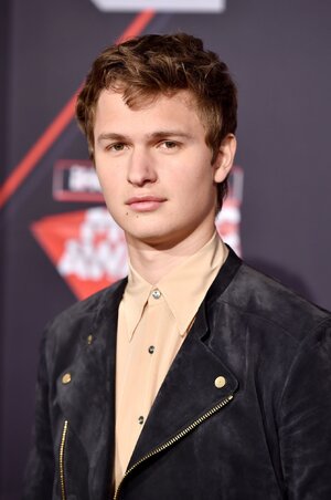 licensed-image (55).jpg