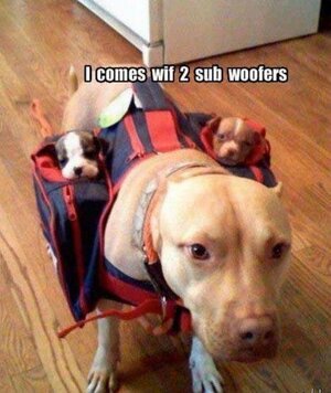 sub-woofers.jpg