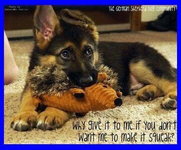 Why give it to me.jpg