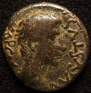 DSCN1267 (2).JPG DSCN1267 (2).JPG