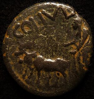 DSCN1266 (3) - Copy.JPG DSCN1266 (3) - Copy.JPG