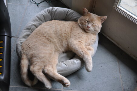 Norbu Does Not Fit 2.JPG Norbu Does Not Fit 2.JPG