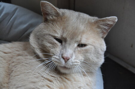 Norbu Does Not Fit 3.JPG Norbu Does Not Fit 3.JPG