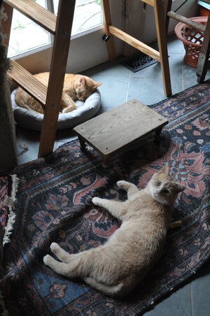 norbu and EB.JPG