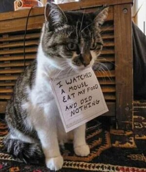 iwatched.jpg iwatched.jpg